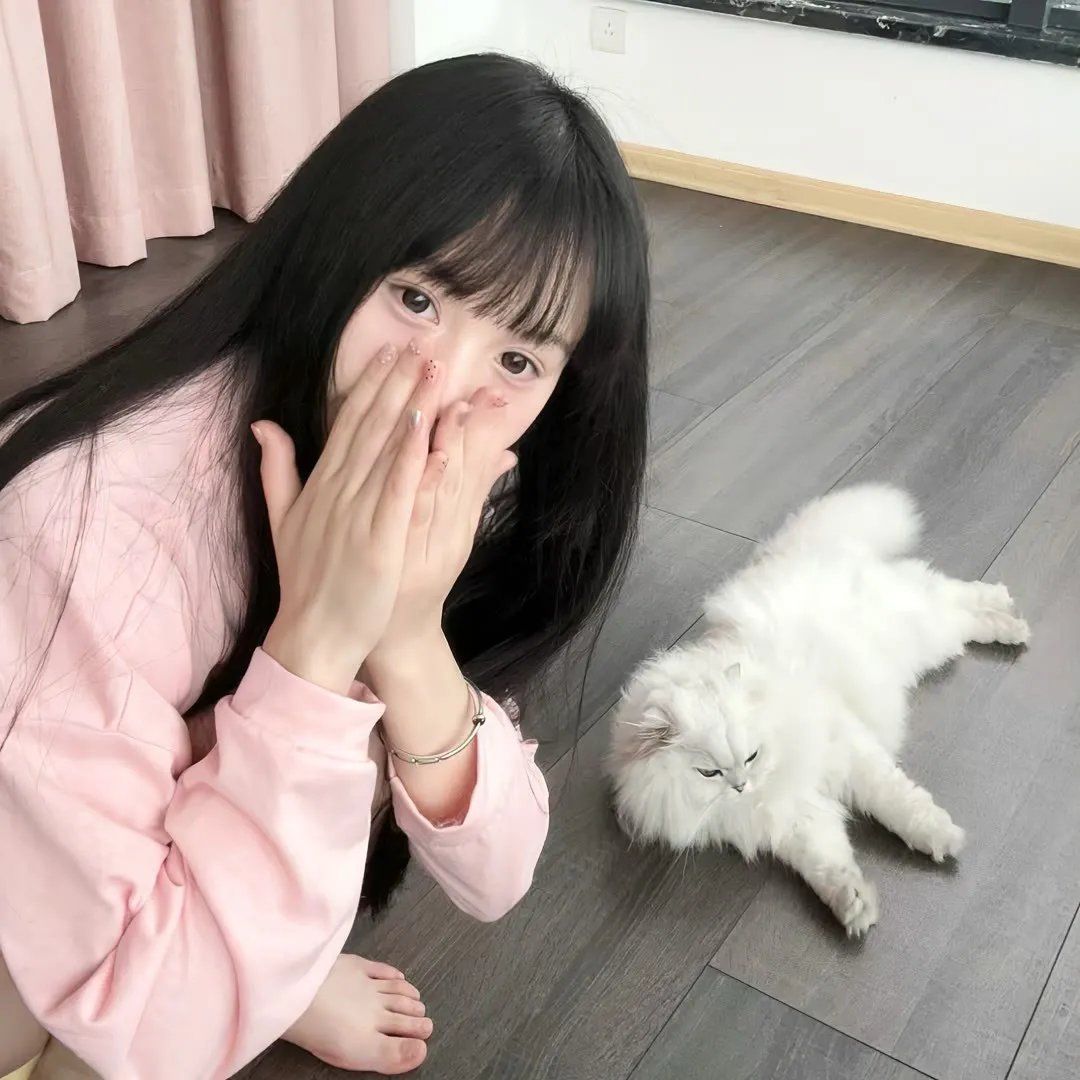 简如西尔万